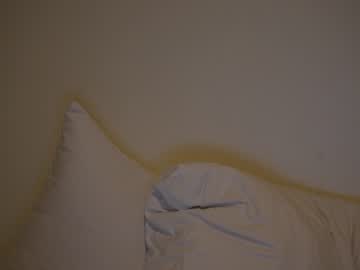 hardcore cam girl ellaa91 image #2391907