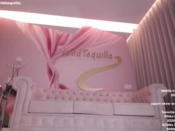 hardcore cam girl wildtequilla image #2481206