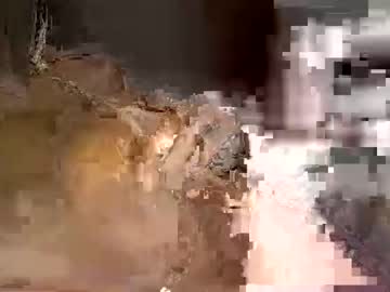 hardcore cam girl noraoakley image #4473883