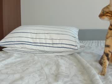 hardcore cam girl coy_t66nager image #2736933