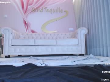 hardcore cam girl wildtequilla image #3096595