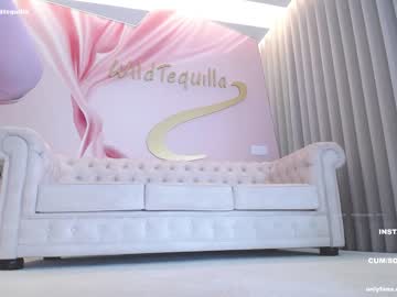 hardcore cam girl wildtequilla image #3349510