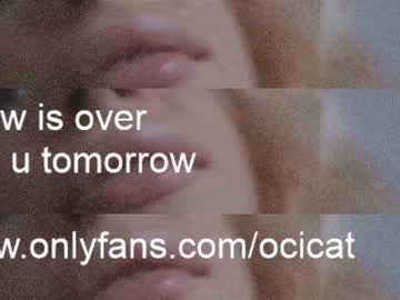 hardcore cam girl ocicat image #2402057
