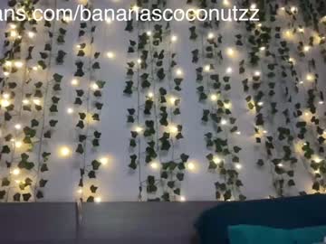 hardcore cam girl bananascoconutz image #3756952
