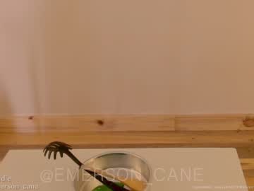 hardcore cam girl emersoncane image #3711952