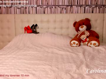 hardcore cam girl carolinaherera image #266372