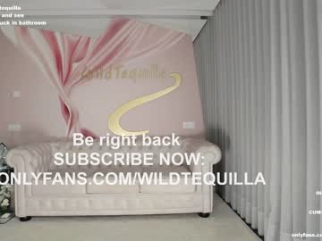 hardcore cam girl wildtequilla image #3219391