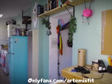 hardcore cam girl artemisfit image #932572