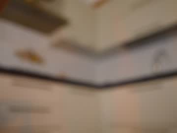 hardcore cam girl therealbonnieclydex image #2410594