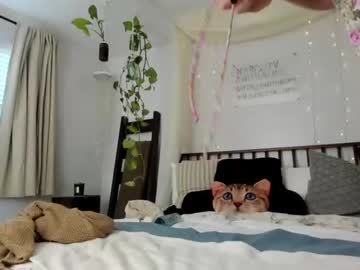 hardcore cam girl sexyashley_21 image #3158751