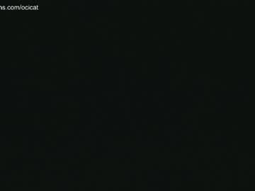 hardcore cam girl ocicat image #2811493