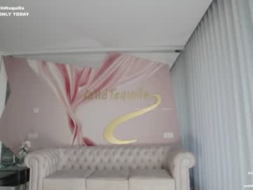 hardcore cam girl wildtequilla image #3549134