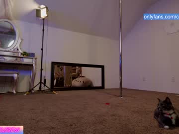 hardcore cam girl chroniclove image #28458