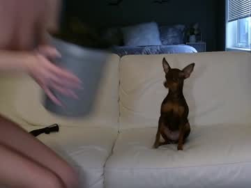 hardcore cam girl thedrifters image #400360